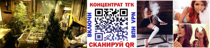 ТГК жижа  Сунжа 