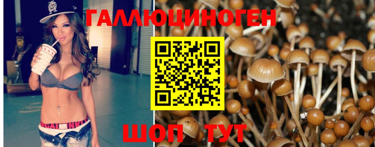 Галлюциногенные грибы мицелий Сунжа