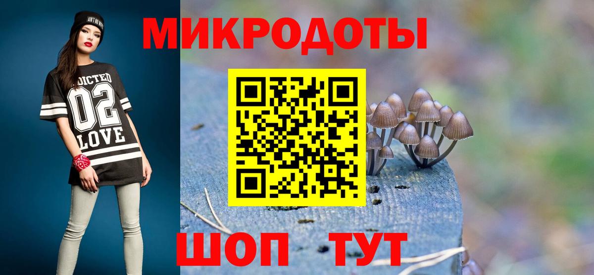 Сунжа  Псилоцибиновые грибы Cubensis  Галлюциногенные грибы мухоморы  Вход с VPN 